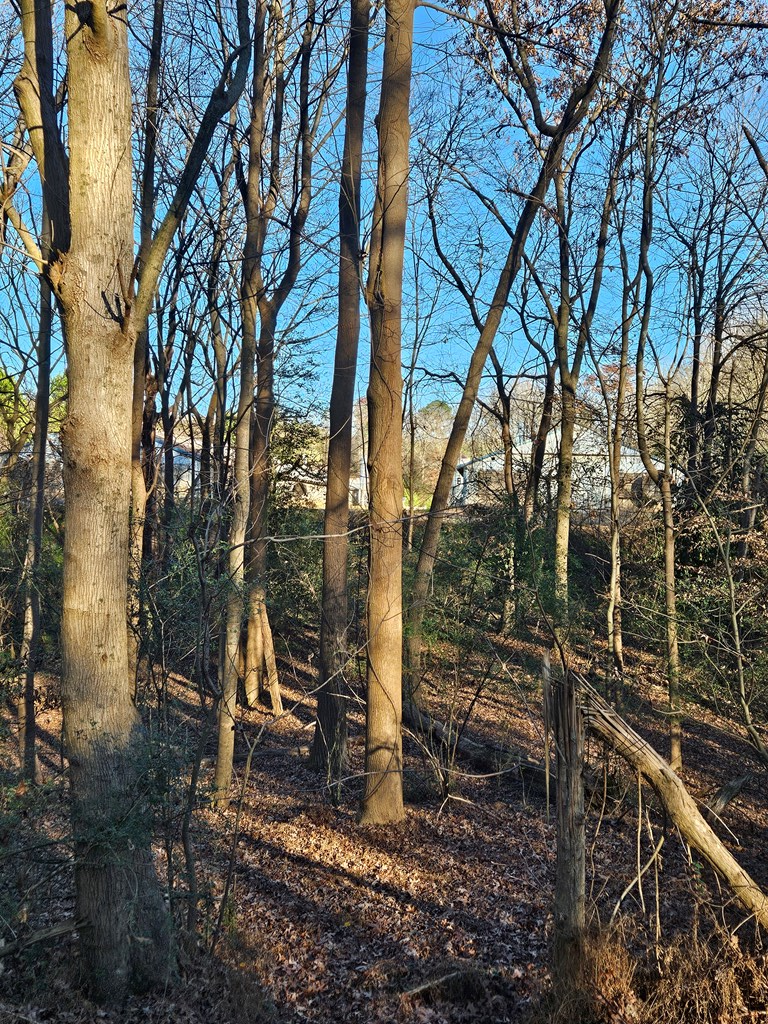 Lot 256 Elmwood Circle, Ellijay, GA 30540 - #2