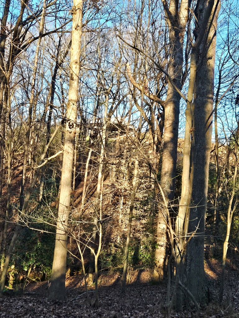 Lot 256 Elmwood Circle, Ellijay, GA 30540 - #3