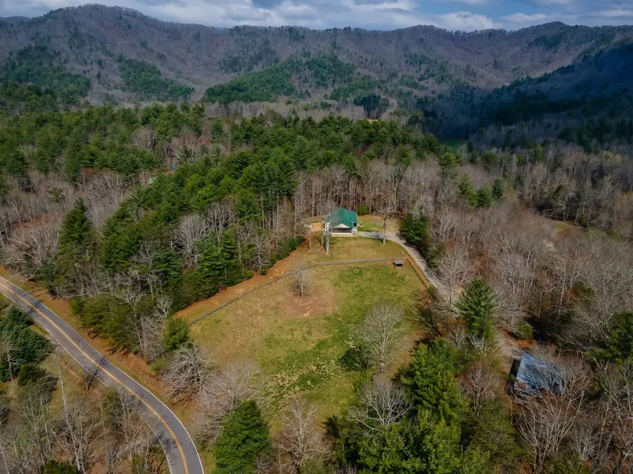 1132 Hells Hollow Road, Blue Ridge, GA 30513 - #3