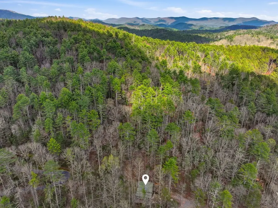 1780 Conasauga Road, Ellijay, GA 30540 - #2