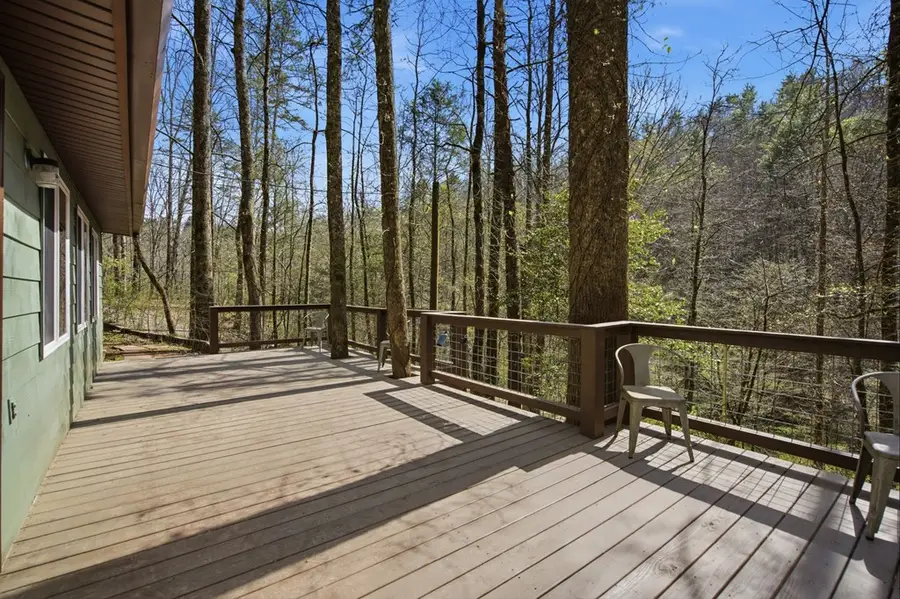 1780 Conasauga Road, Ellijay, GA 30540 - #3