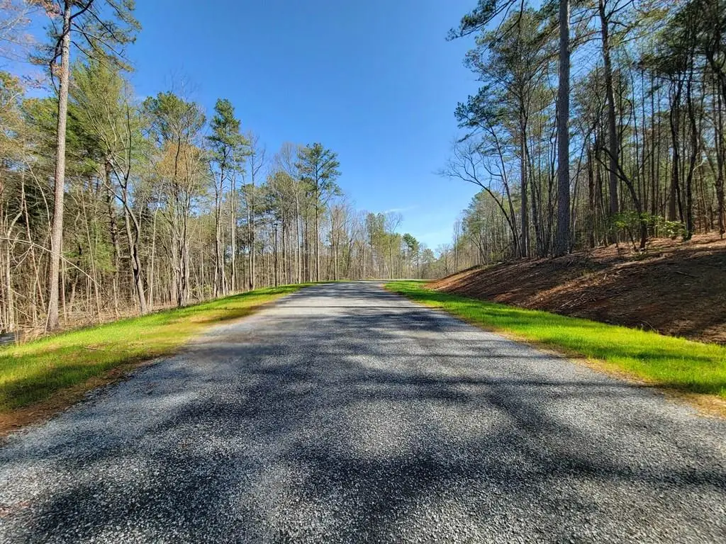 191 Mountaingate Way, Ellijay, GA 30536 - #1