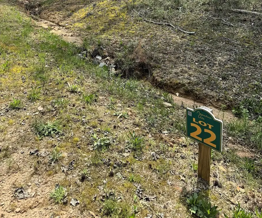 22 Mountaingate Way, Ellijay, GA 30536 - #2