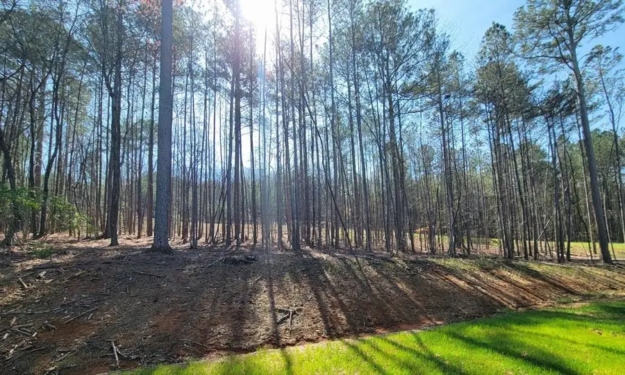 22 Mountaingate Way, Ellijay, GA 30536 - #3