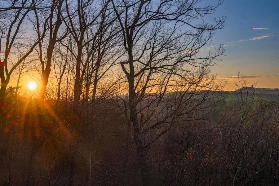 268 Oak Ledge Road, Morganton, GA 30560 - #3