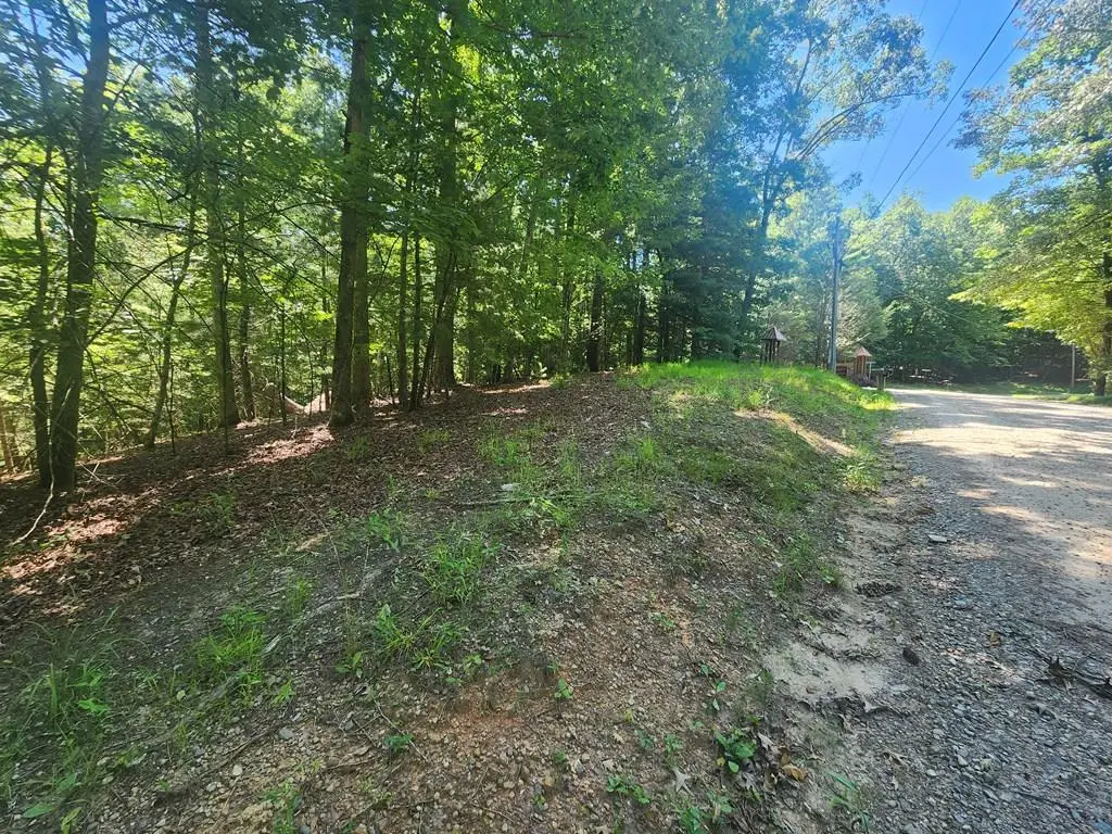 Lot 3 Meadow View Drive, Morganton, GA 30560 - #1