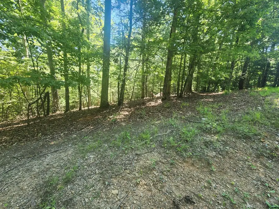 Lot 3 Meadow View Drive, Morganton, GA 30560 - #2