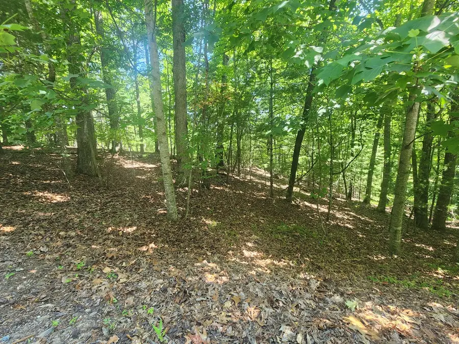 Lot 3 Meadow View Drive, Morganton, GA 30560 - #3