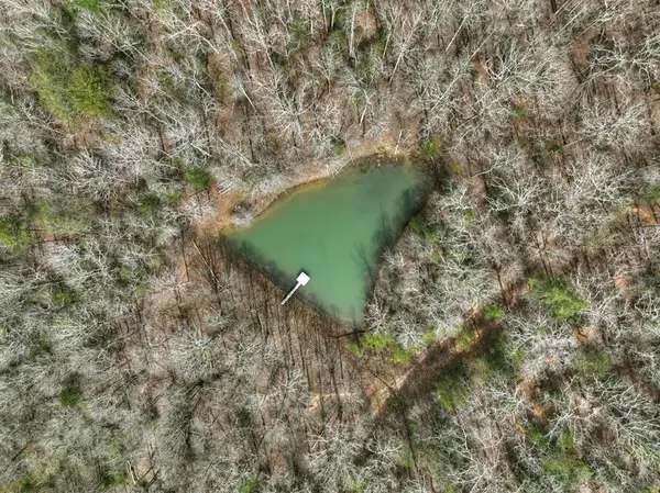 8.52 AC Mcnelley Road, Morganton, GA 30560