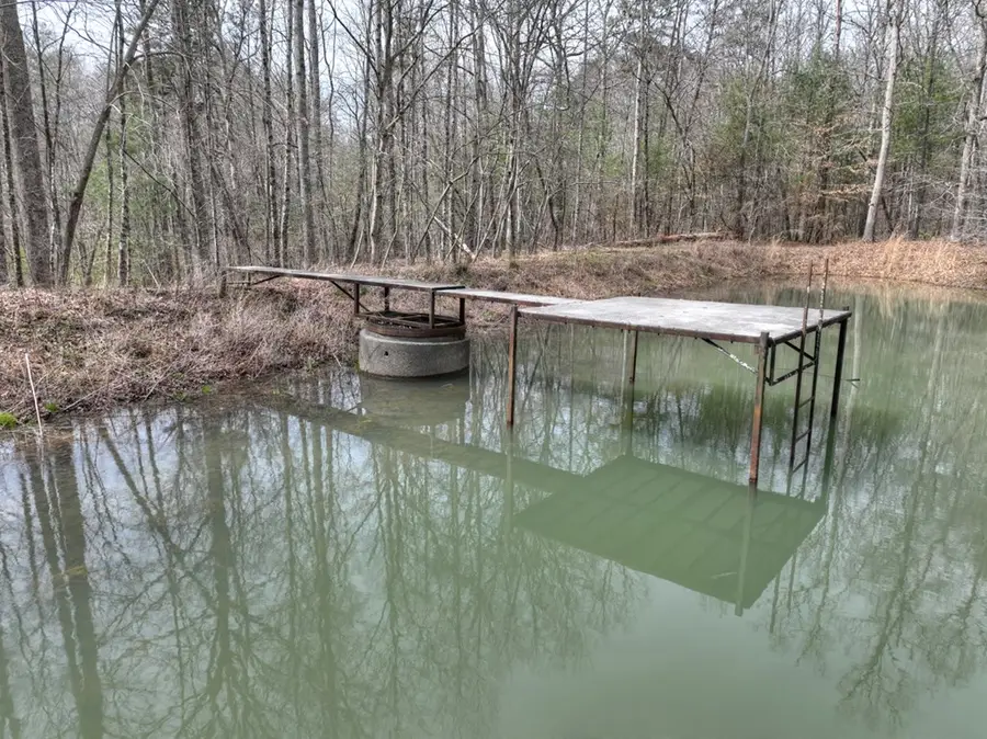 8.52 AC Mcnelley Road, Morganton, GA 30560 - #3