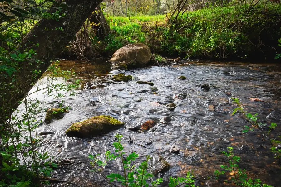 742 Beaver Run Road, Blairsville, GA 30512 - #3