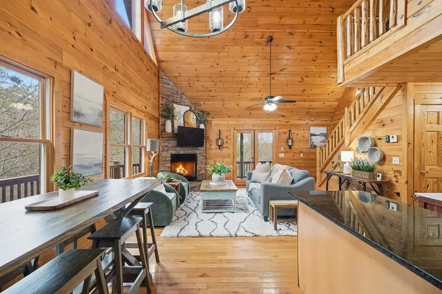 133 Dallas Lane, Blue Ridge, GA 30513 - #3