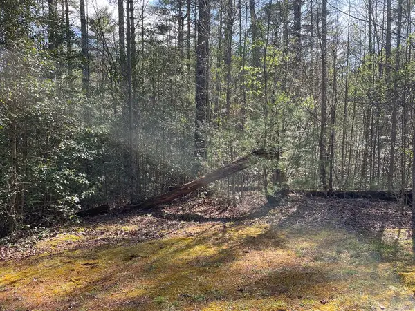 Lot 89 Spectacular, Hayesville, NC 28904