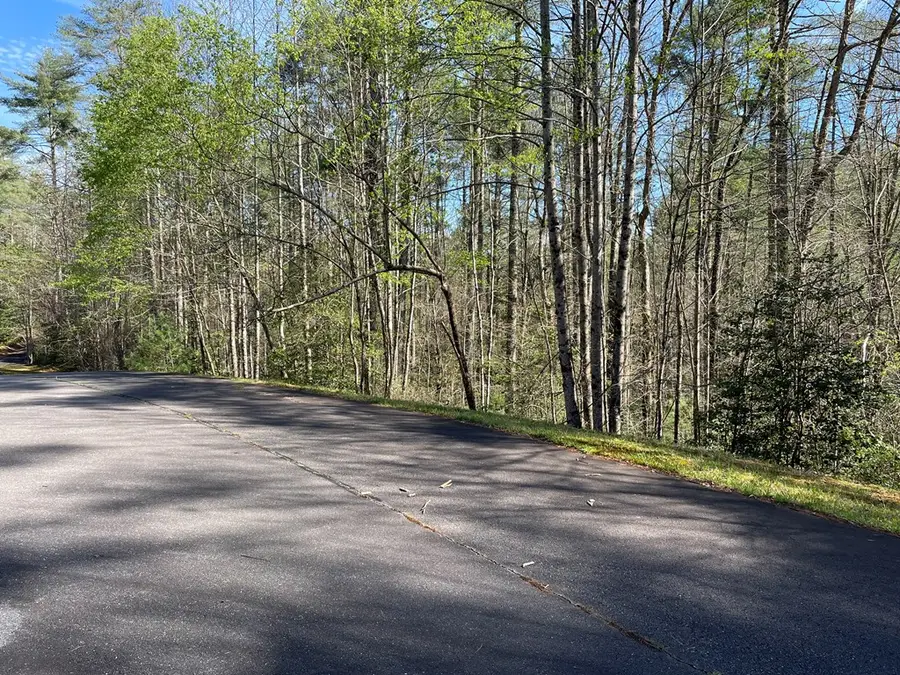 Lot 89 Spectacular, Hayesville, NC 28904 - #2