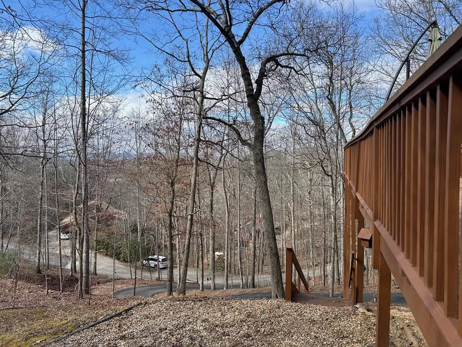 39 Thomas Ridge Lane, Blairsville, GA 30512 - #3
