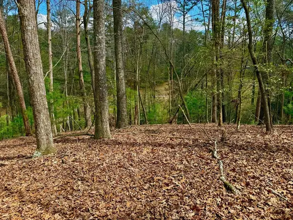 739 Hiawassee Court, Ellijay, GA 30540