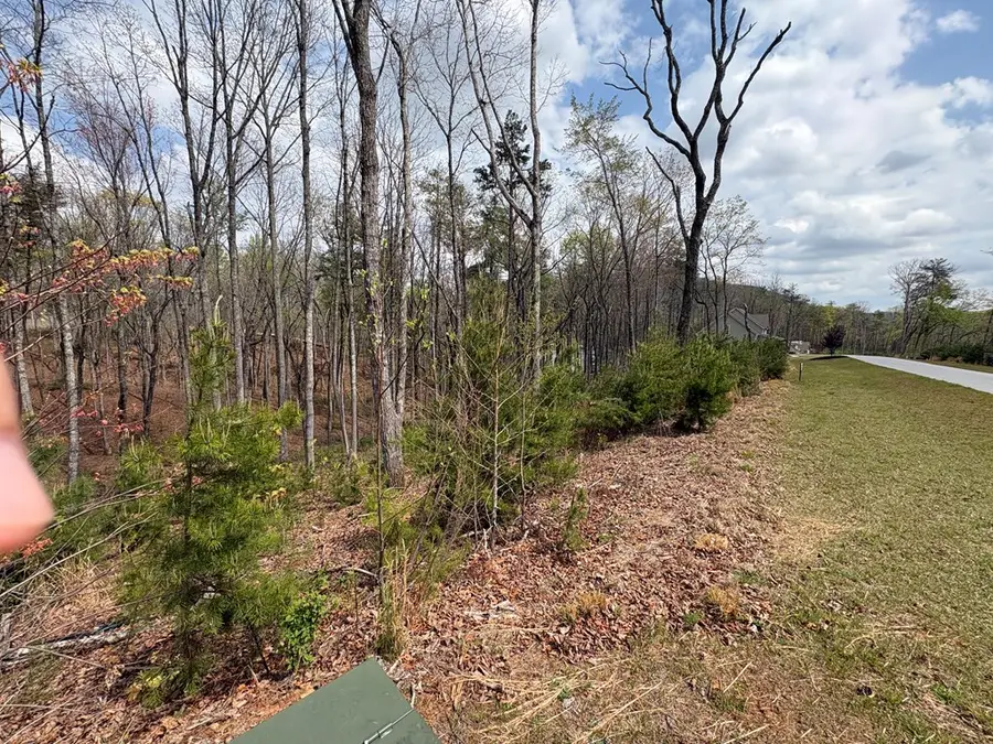 21 Yonah Mountain Drive, Sautee Nacoochee, GA 30571 - #3