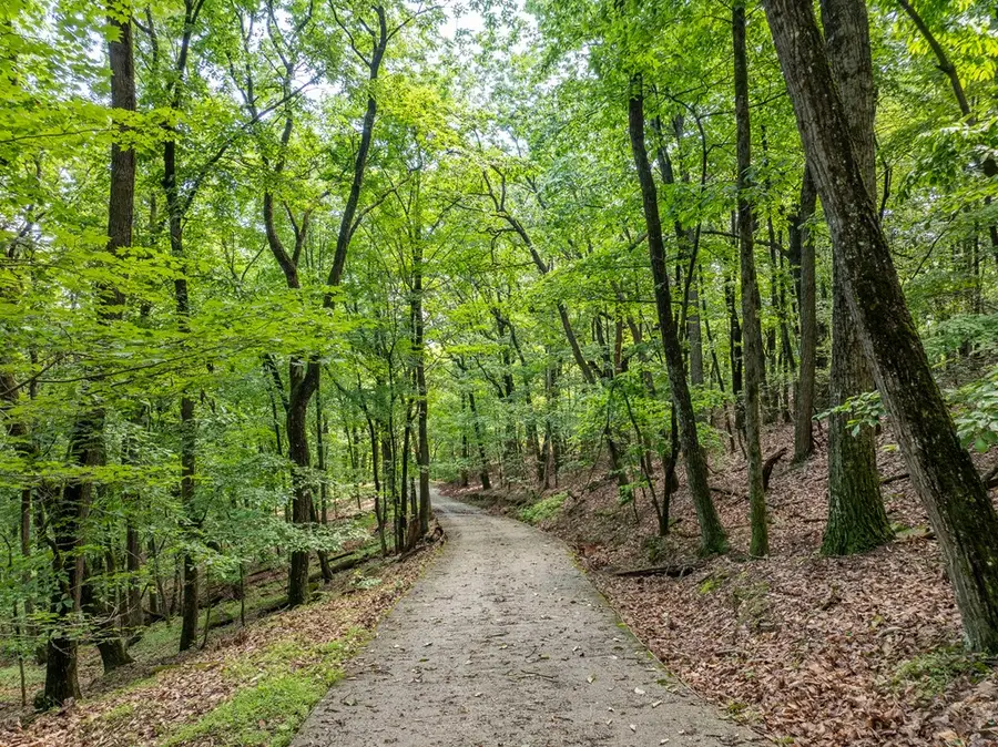 3.65 AC Emory Stephens Rd., Dahlonega, GA 30533 - #3