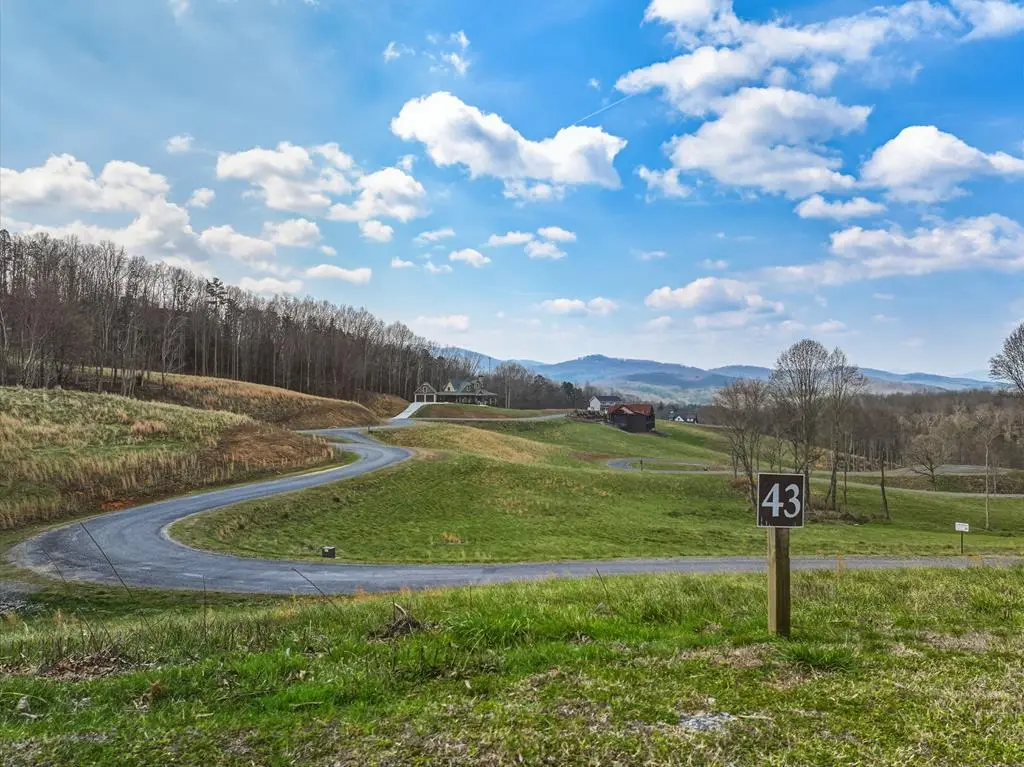 Lot 43 Big Valley Drive, Blairsville, GA 30512 - #1