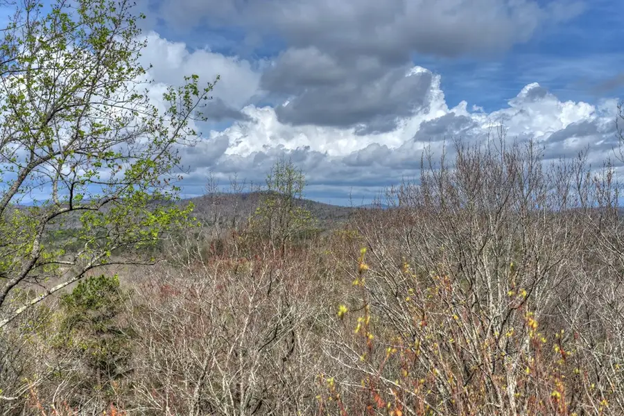 57 Meadow Hill, Morganton, GA 30560 - #2