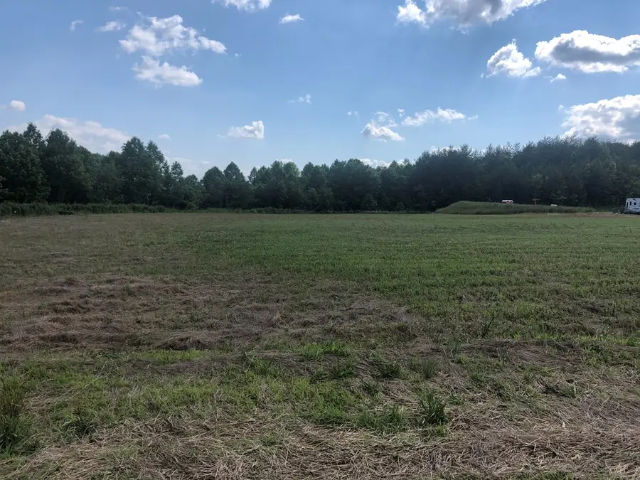 Lt 1 & 2 Blackhawk Drive, Blue Ridge, GA 30513 - #3