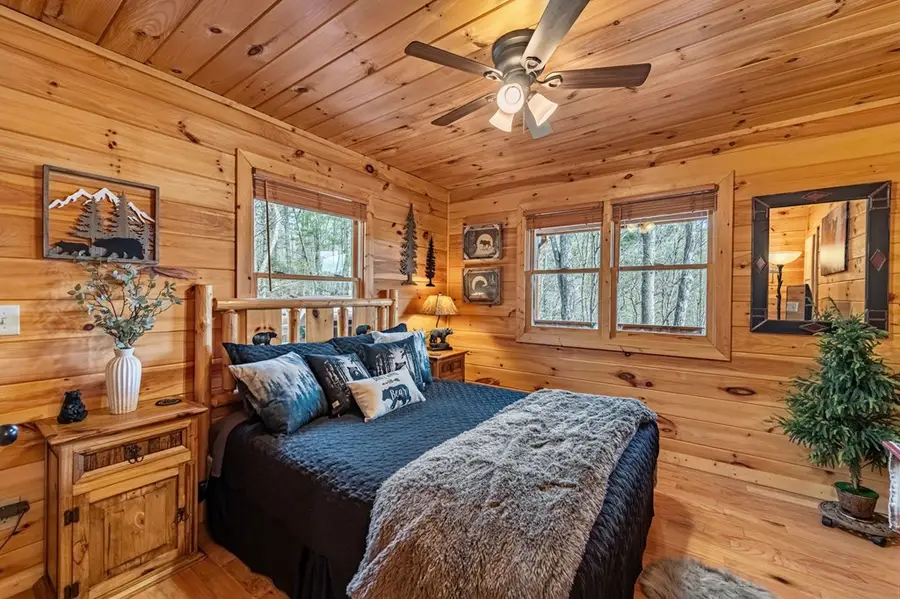 9 Dean Court, Blue Ridge, GA 30513 - #3