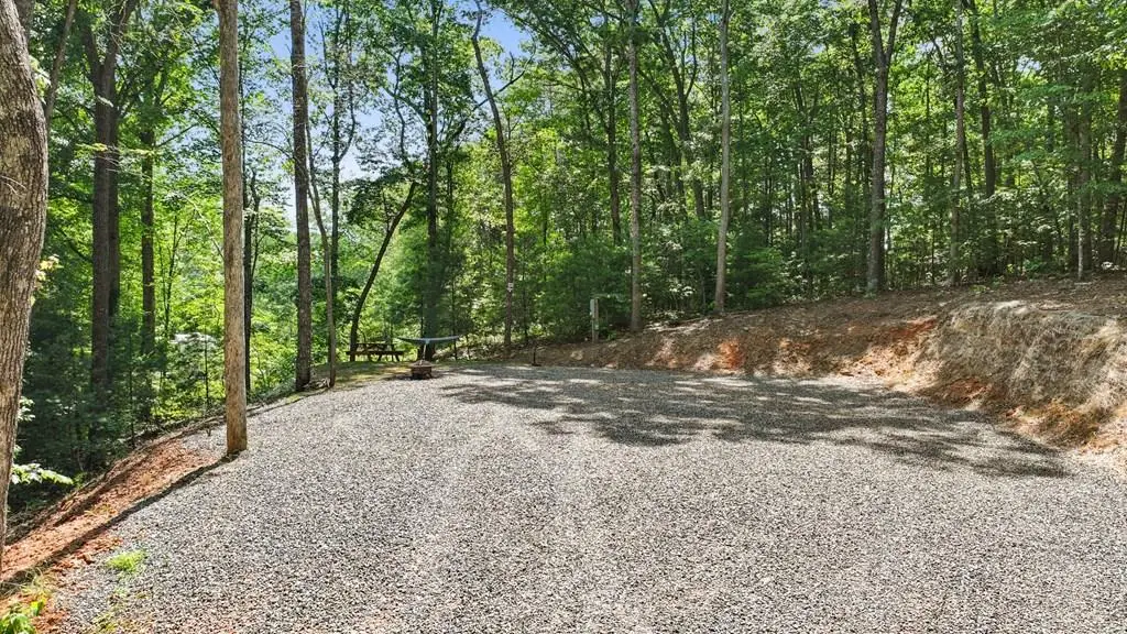 103 Hibiscus Lane, Blue Ridge, GA 30513 - #1