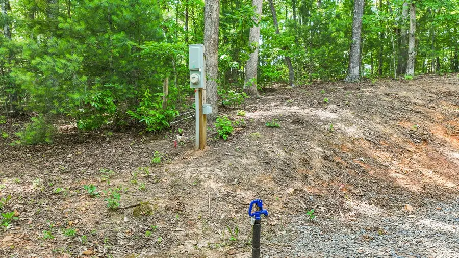 103 Hibiscus Lane, Blue Ridge, GA 30513 - #3