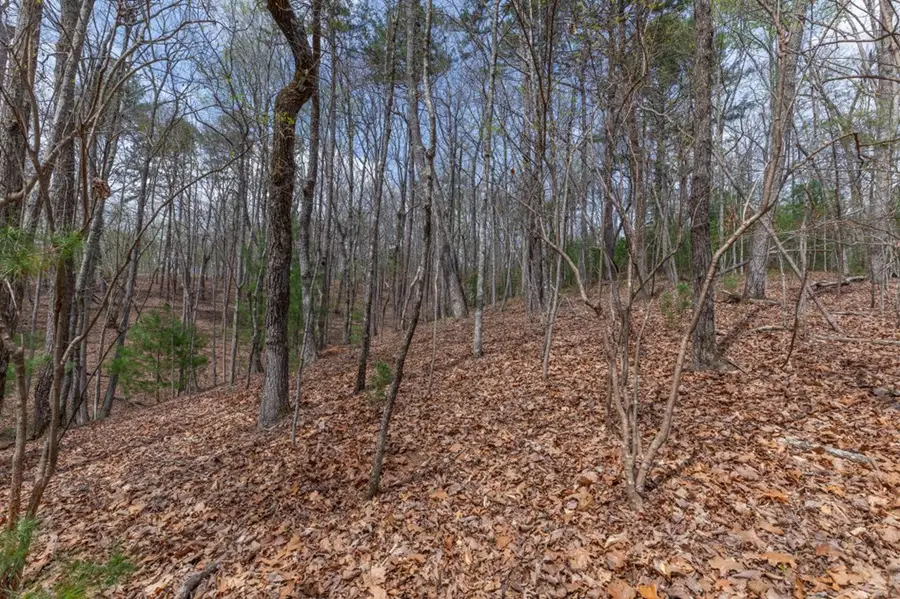 Lot 7A Glenridge Way, Ellijay, GA 30540 - #2