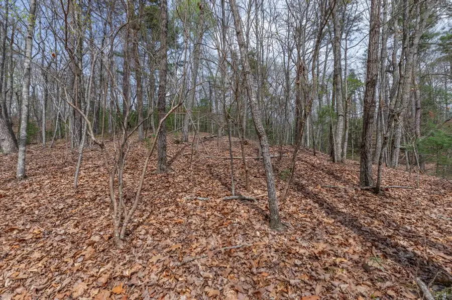 Lot 7A Glenridge Way, Ellijay, GA 30540 - #3