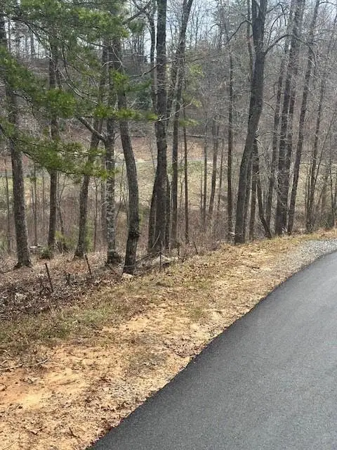 Lot 195 Trails End Way, Mineral Bluff, GA 30559