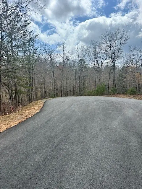 Lot 195 Trails End Way, Mineral Bluff, GA 30559 - #3