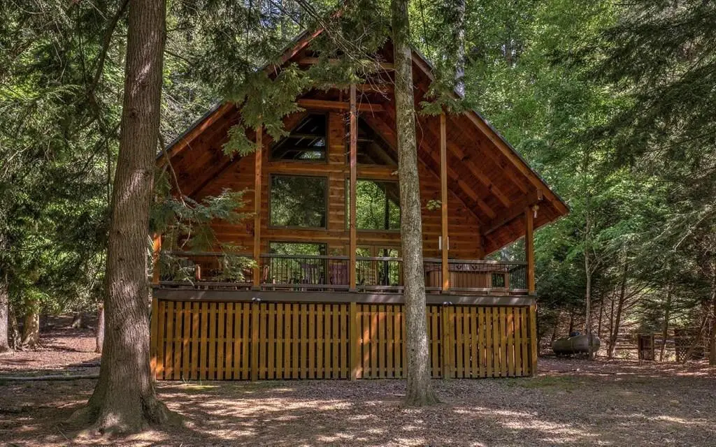 343 Muller Lane, Ellijay, GA 30540 - #1