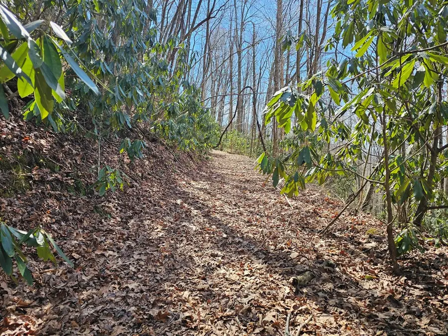 Lot 16 Warrior Way, Andrews, NC 28901 - #2