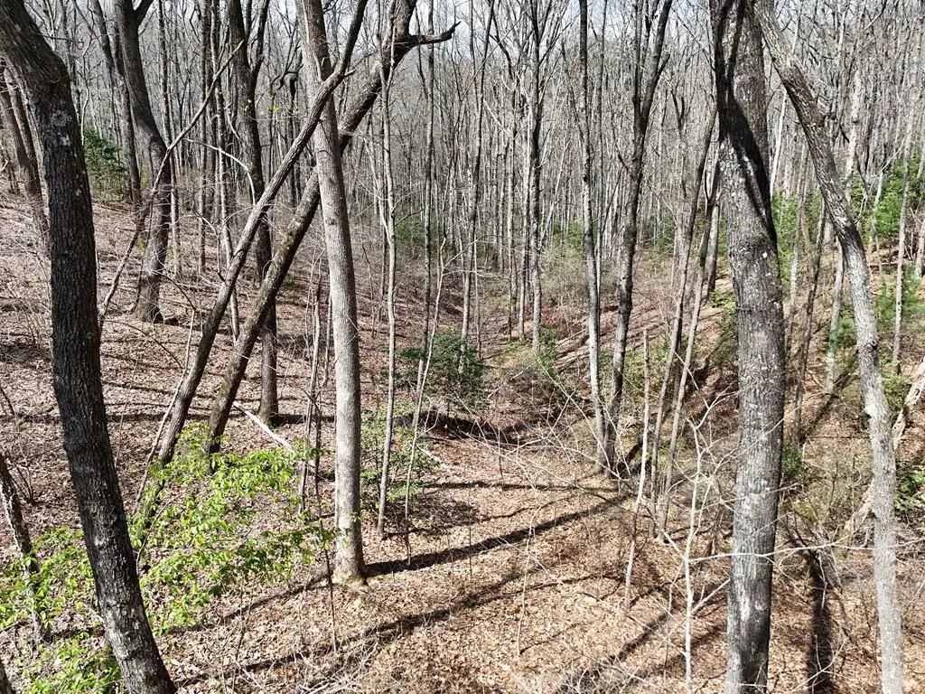 L129/124 Laurel Crossing, Blue Ridge, GA 30513 - #1