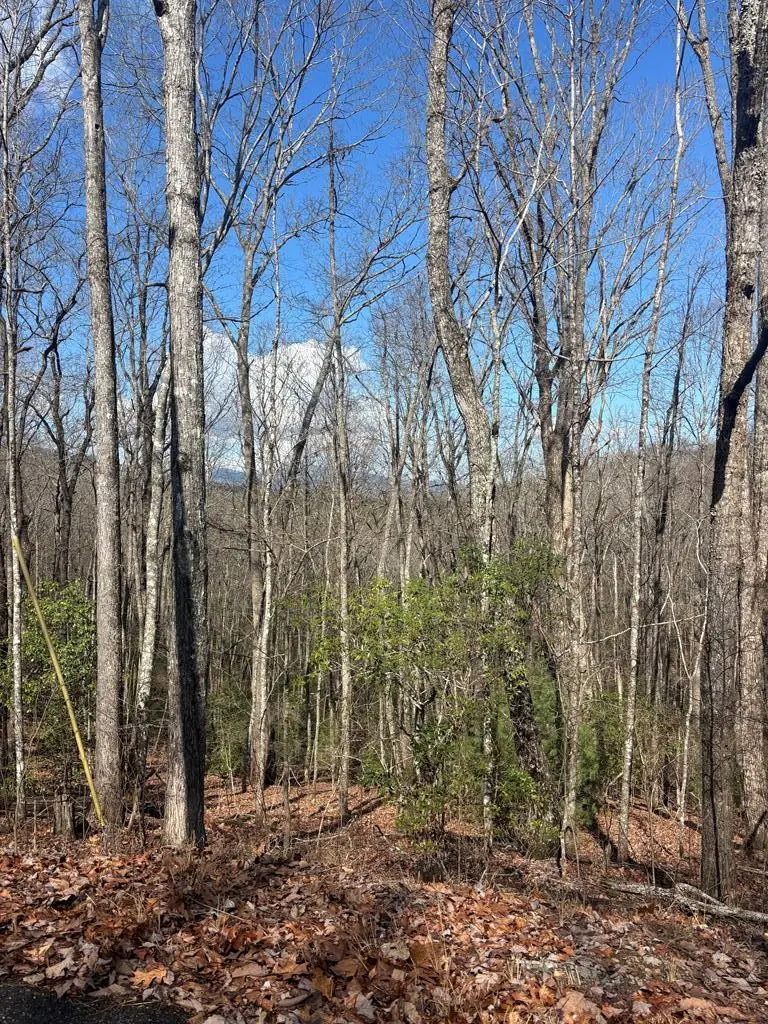 L129/124 Laurel Crossing, Blue Ridge, GA 30513 - #2