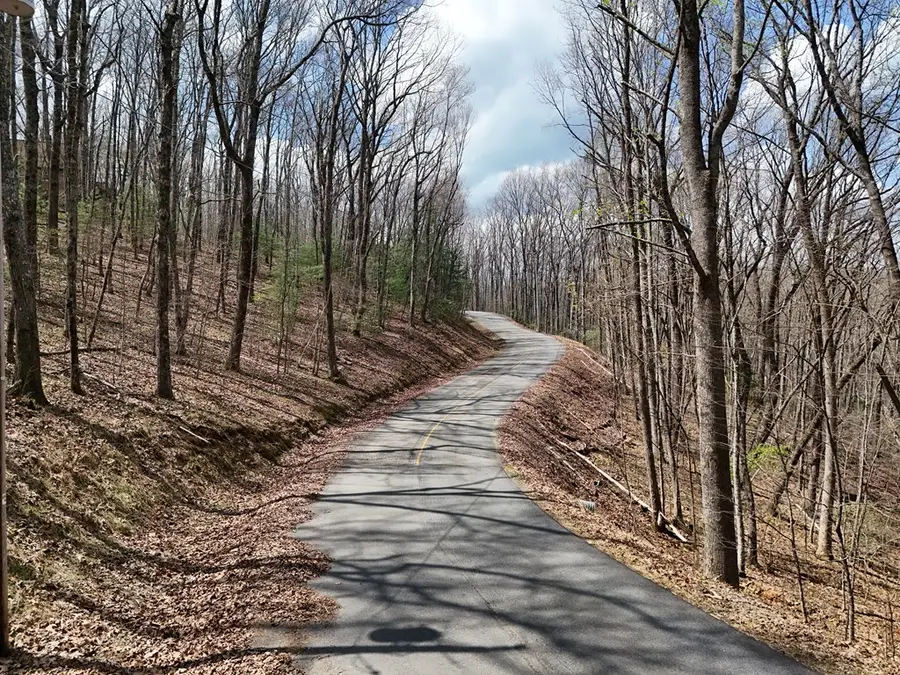 L129/124 Laurel Crossing, Blue Ridge, GA 30513 - #3