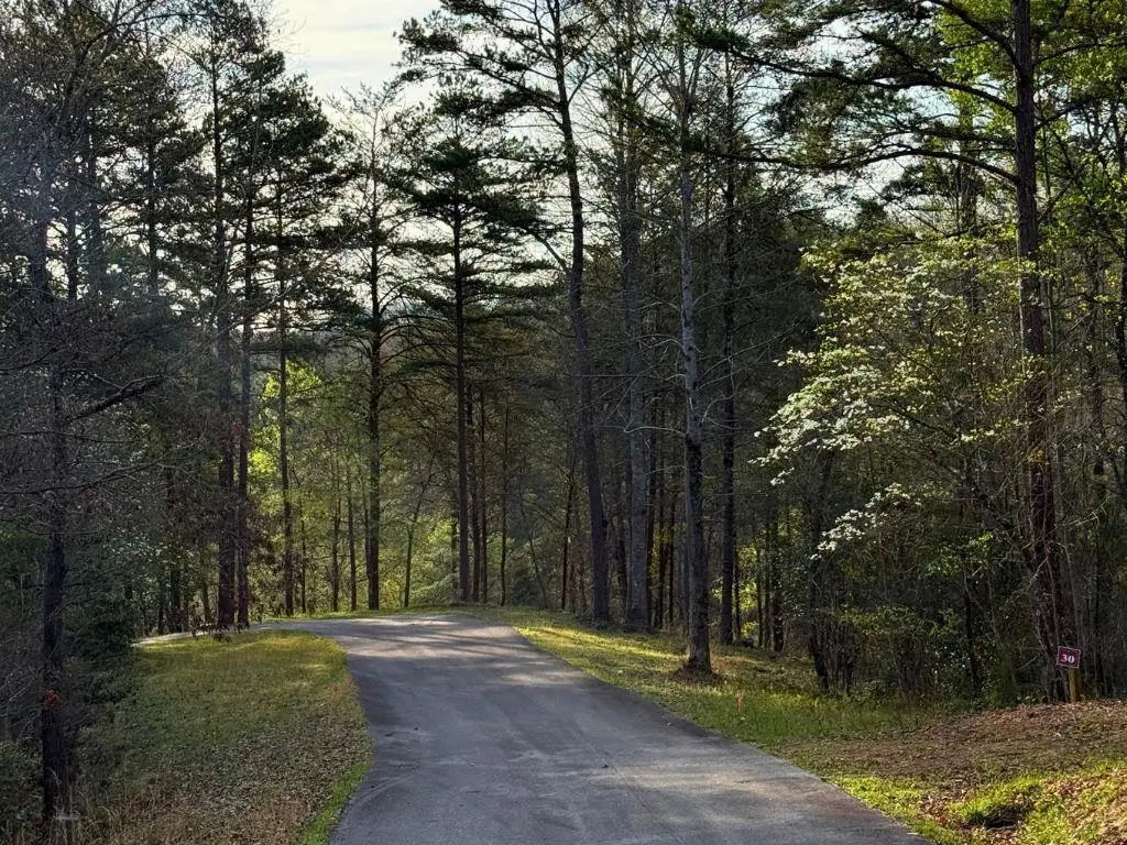 Lot 30 Brasstown Trails, Warne, NC 28909 - #1