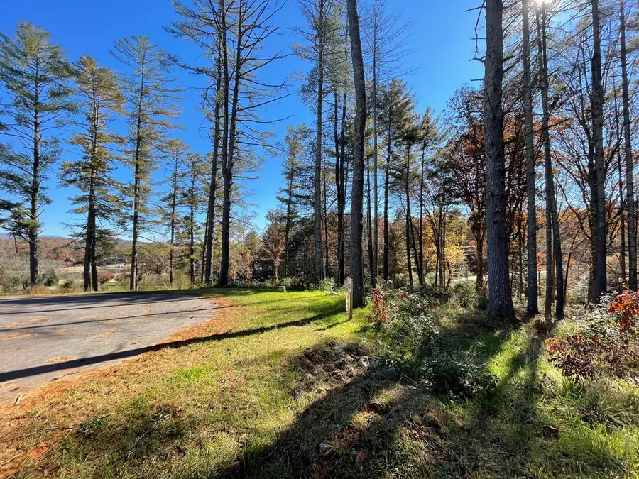 Lot 173 Highland Park, Blairsville, GA 30512 - #3