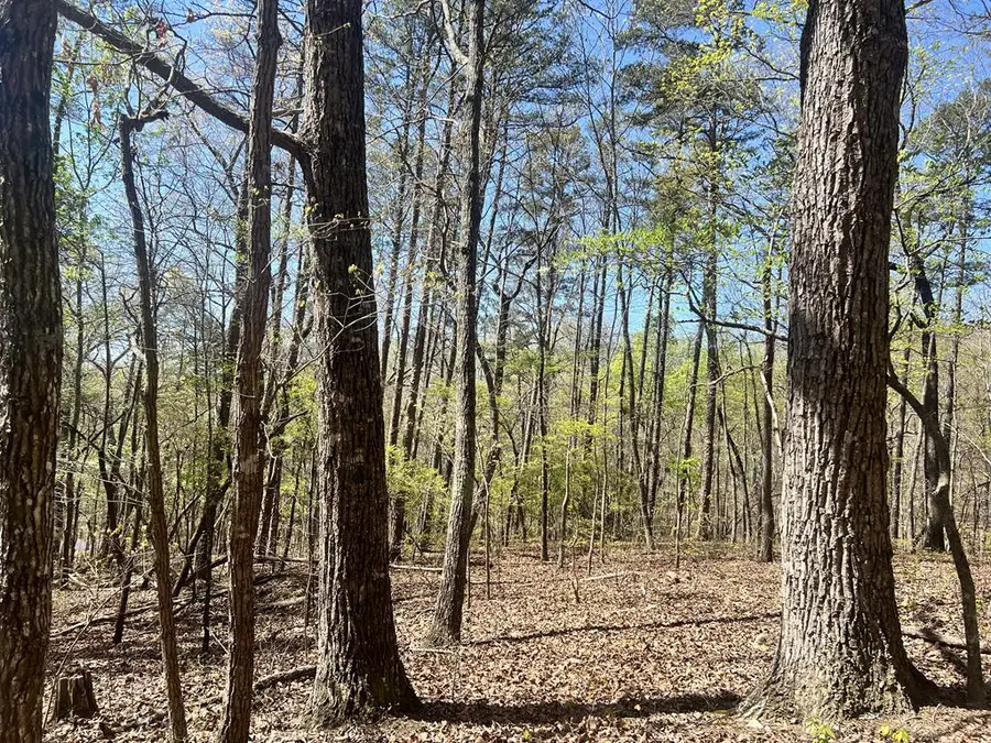 Lot 93 Doll Mountain Road, Ellijay, GA 30540 - #3