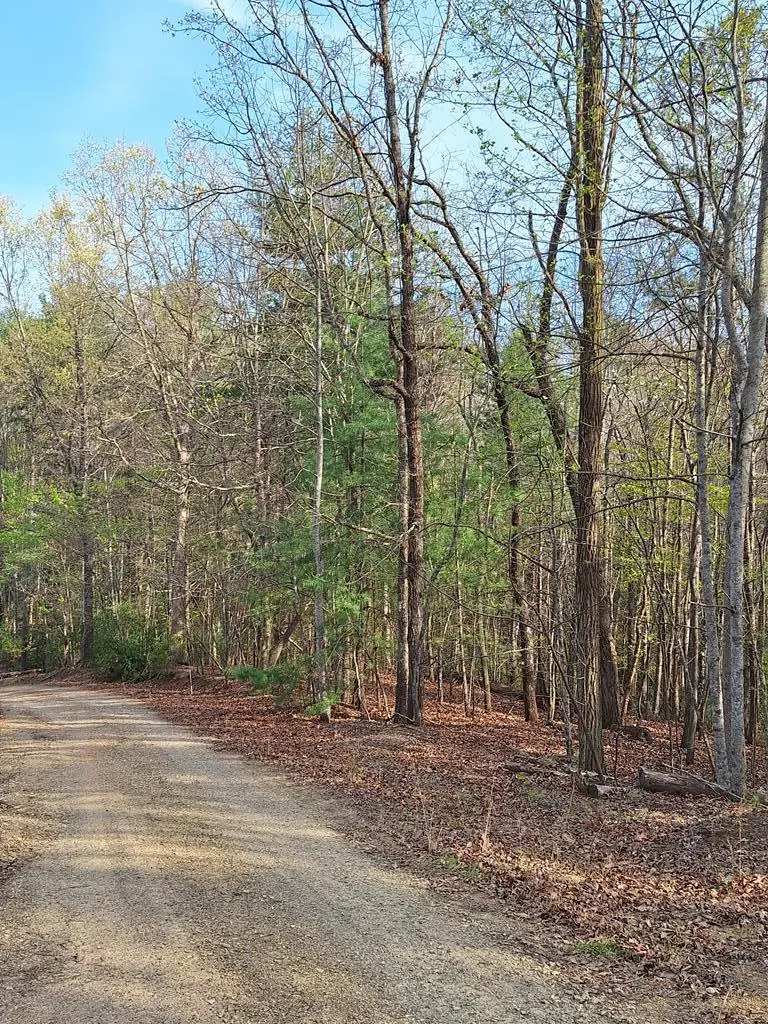 LOT 22 Mull Lane Cir, Lt 22, Morganton, GA 30560 - #1