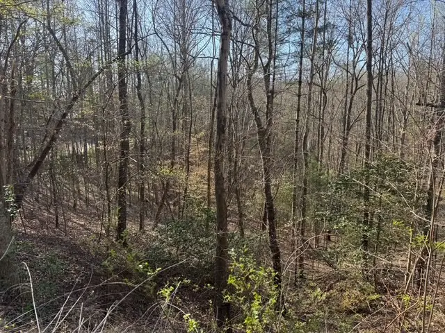 00 Robin Road, Murphy, NC 28906 - #2