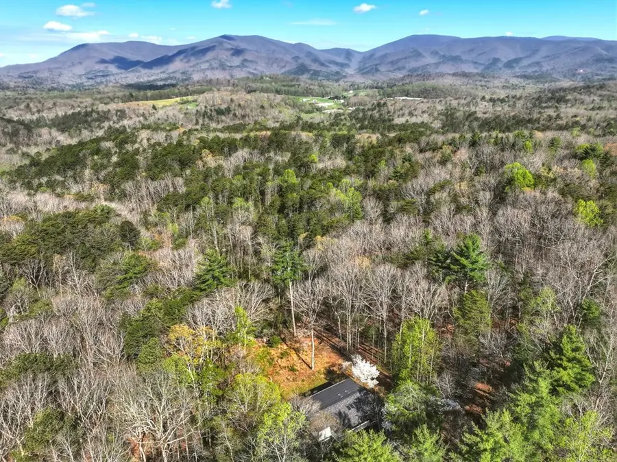 361 Rising Star Road, Ellijay, GA 30536 - #2