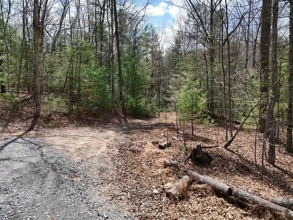 Lot 117 Laurel Trace, Blue Ridge, GA 30513