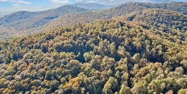 Lot 2 Upper Sassafras Parkway, Jasper, GA 30143 - #2