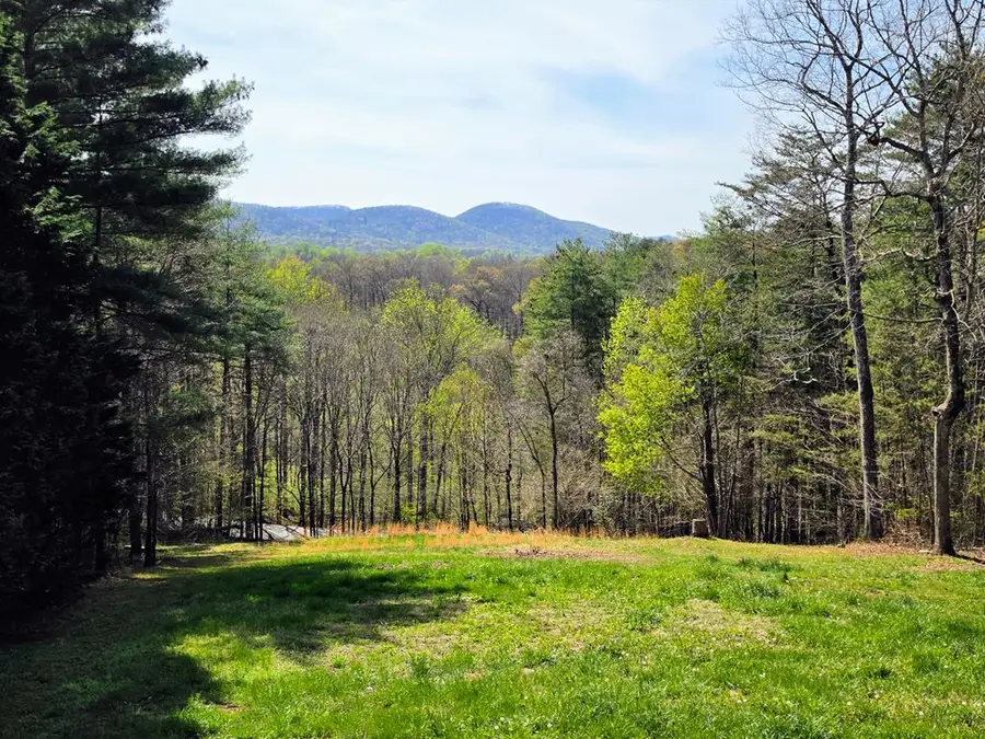 978 Ashley Lane, Young Harris, GA 30582 - #2