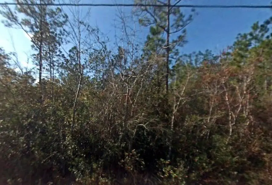 1825 Vincent Way, Talking Rock, GA 30175 - #3