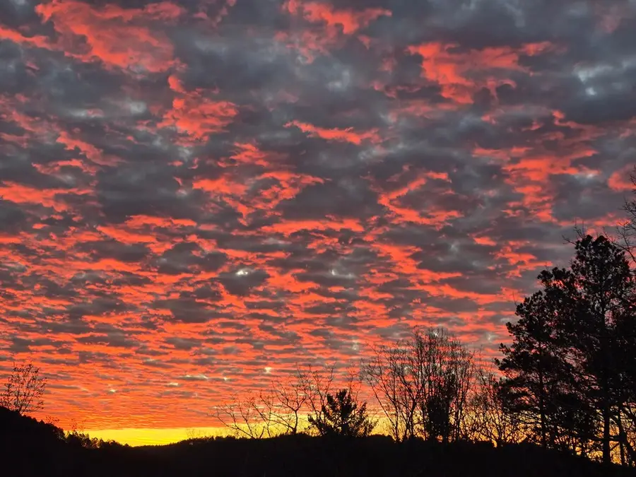 1621 Dover Circle, Ranger, GA 30734 - #2