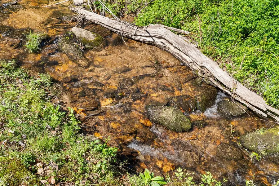 496 Jackie Cove Road, Hayesville, NC 28904 - #2