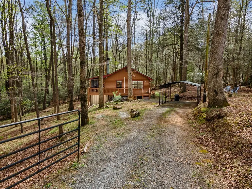 159 Pack Creek Road, Blue Ridge, GA 30513 - #1
